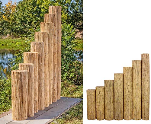 Bambus-Discount Niedrige Schilfrohrmatte Beach 80 x 600cm als Balkon Sichtschutz - Schilfmatte Premium 0,8 x 6m Made in EU