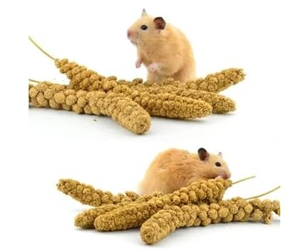 SIPW - Small Animal Hamster Millet Sprays Sprigs (5 x Sprays of Millet)