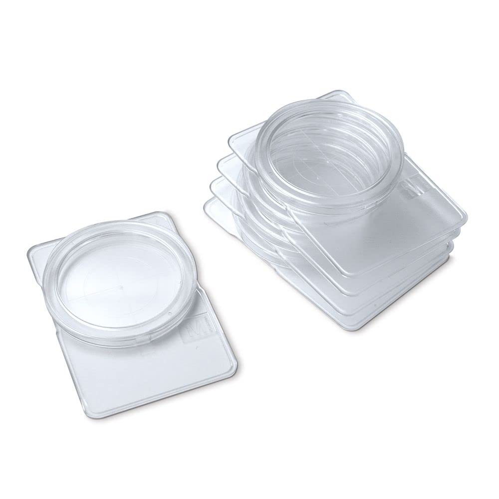 Petrislides, Pack Of 5