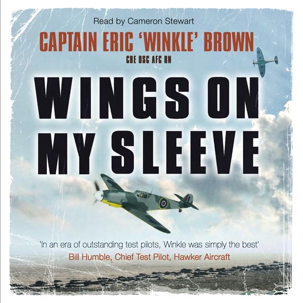 Cover art for Wings on My Sleeve