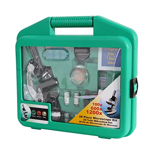 Microscopio de alta ampliación 1200x para niños con luz HD integrada 4