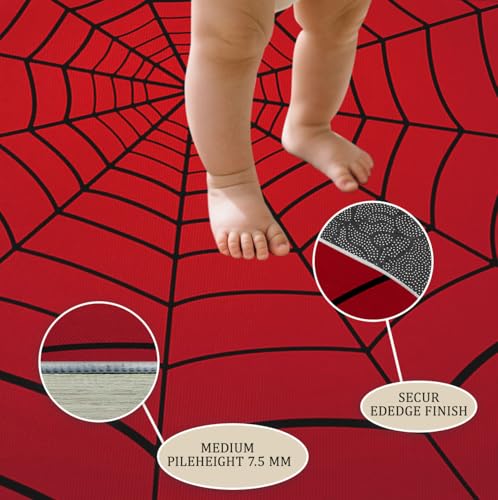 Tapete Negro de Tela de Araña 90x120 cm miniatura 5