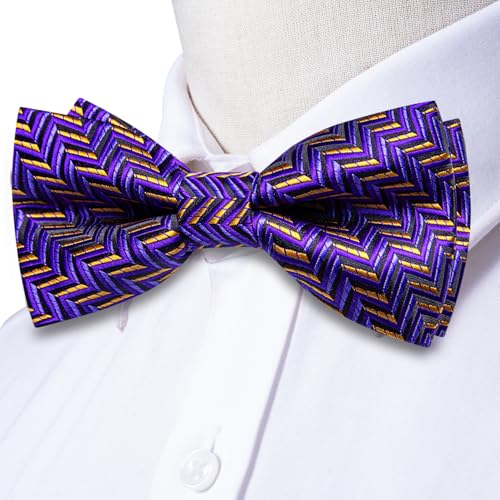Image of Dubulle Mens Paisley Striped Bowtie Set Pre-tied Bowtie for Men and Pocket Square Set Wedding Business