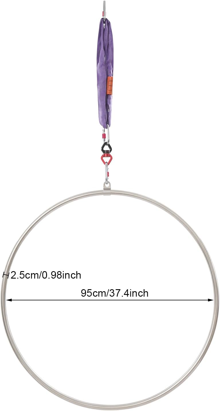 Aerial Hoop Kit 95cm/37.4 in, Professional Yoga Starter Set with Screw-Lock Carabiners, Round Sling and Storage Bag, Aerial Dance Circus Ring for Home, Exercise, Performance(Silver, Purple)