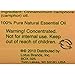 Nature's Alchemy Essential Oil Camphor, 0.5 fl oz