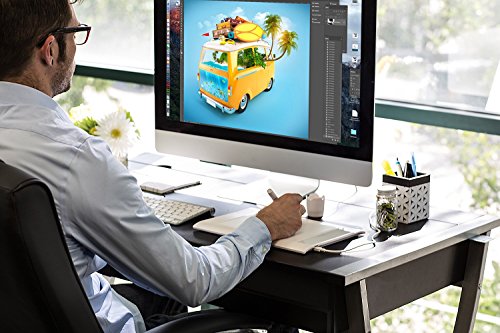 Turcom 8 x 5 Inches Graphic Drawing Capture Pen and Touch Tablet (TS-6580)