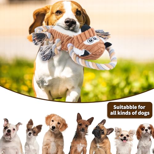 Squeaky Dog Toys Interactive Durable Rope-Infused Lion Shape Puppy Chew Toys for Small, Medium and Big Dogs Squeaky Dog Toys Interactive Durable Rope-Infused Lion Shape Puppy Chew Toys for Small, Medium and Big Dogs