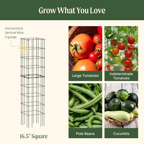 Image of Vego Garden Tomato Cage 16.5 inch Square Heavy-Duty for Garden & Pots, Rust-Resistant Tomato Stackable Heavy Gauge Plant Cage Trellis Support for Climbing Vegetables Plants