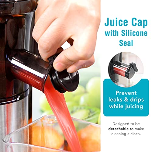 Shine Kitchen Co SJV-107-A Cold Press Juicer, Slow Juicer Makes High-Quality Fruit and Vegetable Juice, 5.5 by 5.2 by 19… - Image 4