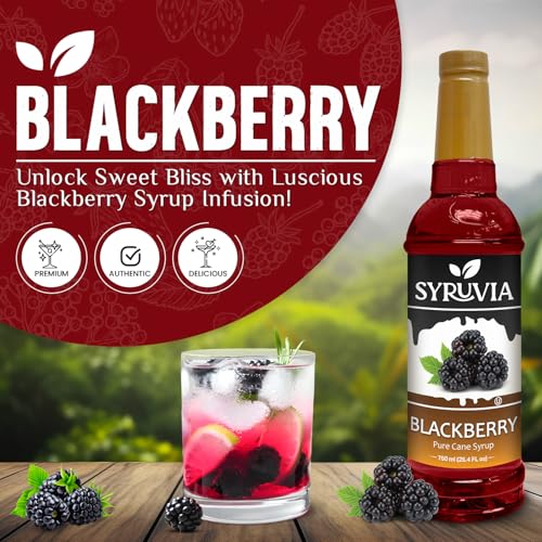 Syruvia Blackberry Syrup – Blackberry Syrup Flavor, 25.4 fl oz - Perfect for Cocktails, ice Tea, Desserts, Italian Sodas, Ice and More, Kosher and Gluten-Free With Syrup Pump - Thumbnail 2
