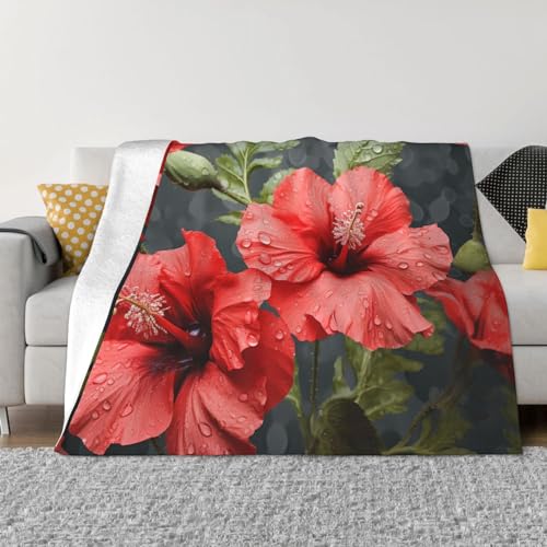 Couverture en peluche légère pour des soirées cocooning sur le canapé - 2