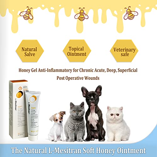Medical Honey Wound Gel for Horses by L-Mesitran Veterinary Healing Ointment for Hot Spots, Lacerations, Ringworms, Anti-Inflammatory for Cats, Dogs & Pet Animals Fast Recovery 1.75 oz (Hope Series) Medical Honey Wound Gel for Horses by L-Mesitran Veterinary Healing Ointment for Hot Spots, Lacerations, Ringworms, Anti-Inflammatory for Cats, Dogs & Pet Animals Fast Recovery 1.75 oz (Hope Series)