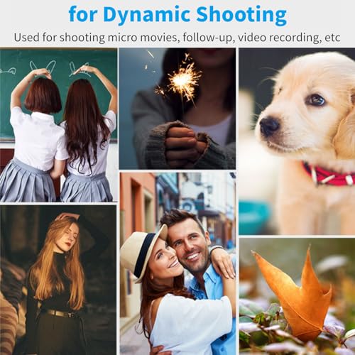 Image of Video Action Stabilizing Handle Grip, Professional C Shape Video Stabilizers with 3cold Shoe, 1 /4in Slidable Screw Handheld Camera Stabilizer, for SLR Cameras, Family DV Cameras