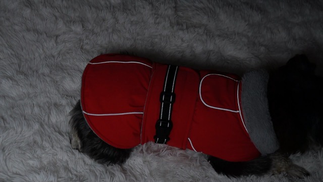 Cappotto In Pile Rosso Per Cani – Doppio Strato, Regolabile Con Velcro, Morbido E Caldo, Adatto A Tutte Le Razze