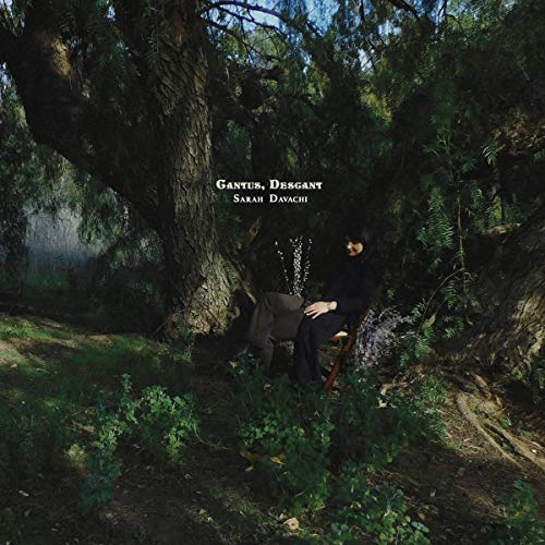 Album art for Cantus, Descant by Sarah Davachi