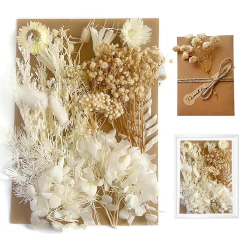 DHWEKU Fiori Secchi Naturali Decorativi per Vaso Veri Fiori Secchi per Resina Misti Petali e Foglie di Fiori Pressati Eterna Fiore per Fai da Te Scrapbooking