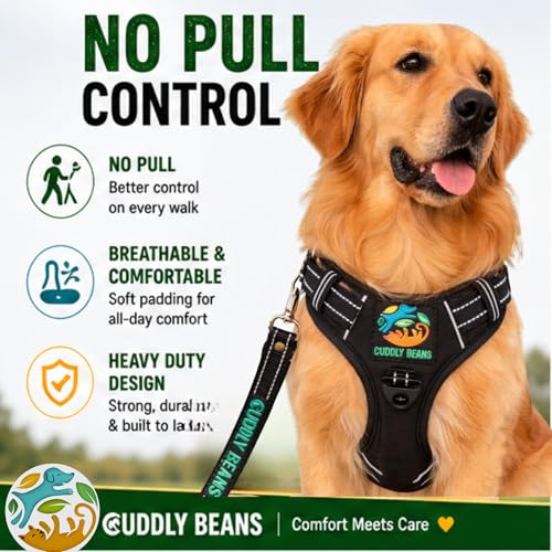 Image of Adjustable Padded Dog Harness with Leash, Black, L (25-35 kg)