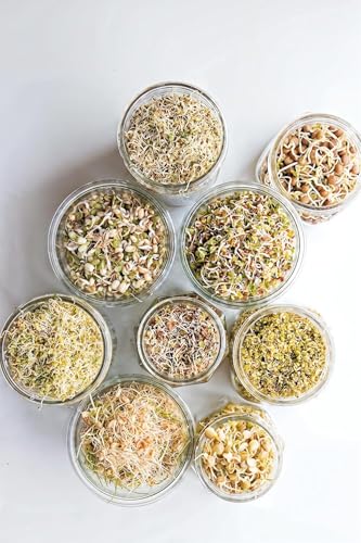 Image of TEKCOOL Sprout Maker with 4 Compartments for Multi Purpose Use - Plastic Grocery Container Sprouted Grains Seeds Dal Channa Chole Ragi Organic Sprouting Jar (500ml,4-Layer), White;'