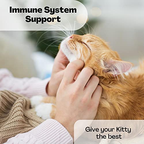 Purina Cat Chow Senior Dry Food Bundle | Includes 2 Bags Of Purina Dry Cat Food Cat Chow Senior Real Chicken Flavor (3.15Lb) | Plus Paw-Shaped Food Scoop! #TOP4