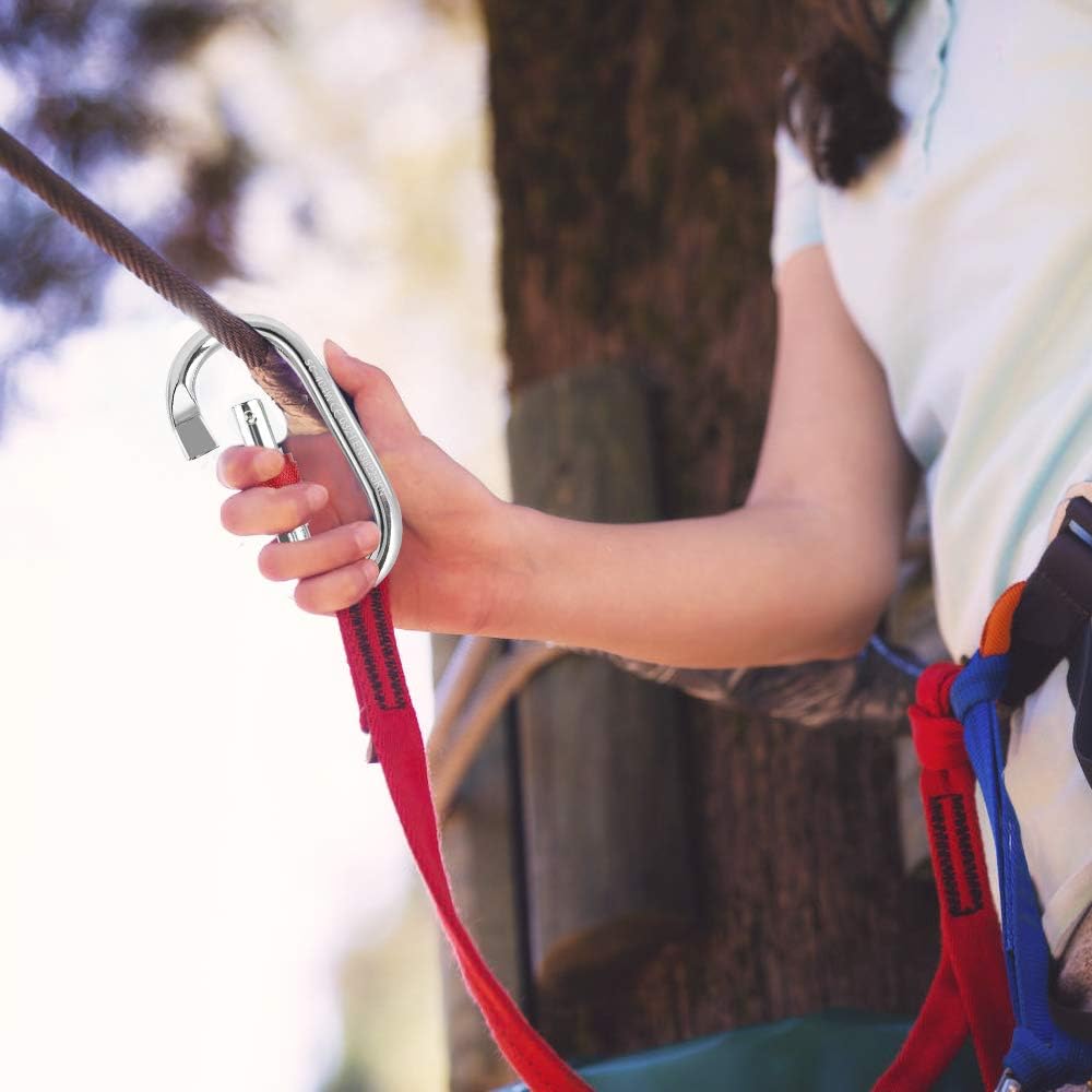 Allnice Climbing Carabiner, 2pc Locking Carabiner Clip Heavy Duty Carabiner Hook with Screwgate for Climbing, Rappelling, Hammocks, Dog Leash, Water Bottle (Round) : Sports & Outdoors