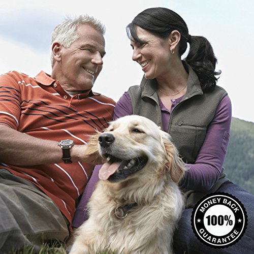 Swanson Garlic Oil Concentrate - Triple Strength 1,500 Mg 500 Sgels 2 Pack #TOP5