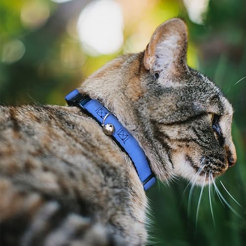 Collar de gato breakaway con cierre de liberación rápida anticaídas 3