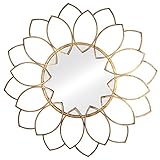 Stratton Home Decor SHD0159 Alexandra Wall Mirror, 32.28 W X 0.98 D X 32.28 H, Antique Bronze