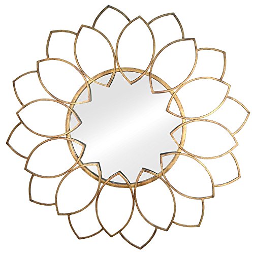 Stratton Home Decor SHD0159 Alexandra Wall Mirror, 32.28 W X 0.98 D X 32.28 H, Antique Bronze
