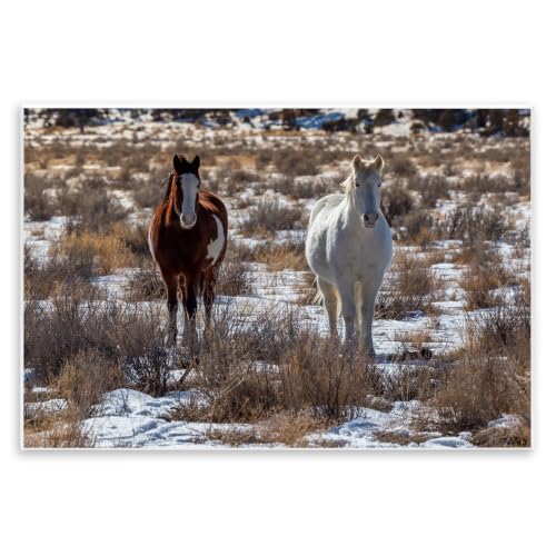 Horse Pair Snow Dusted, 10 x 15 Inch Mounted Print on Wall Plaque