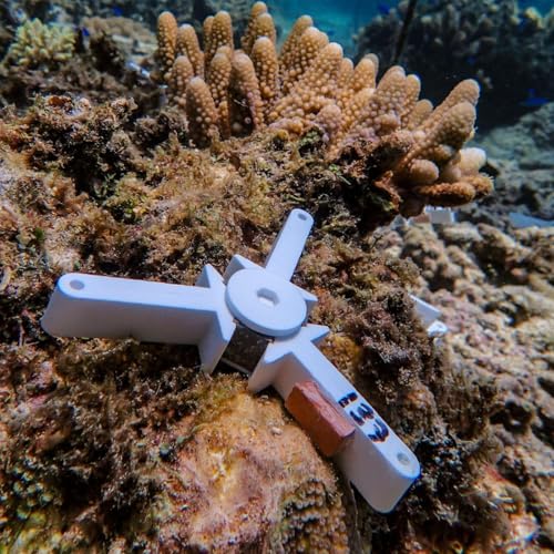 S3 E3: Coral 2.0: Can Technology Save the Great Barrier Reef?