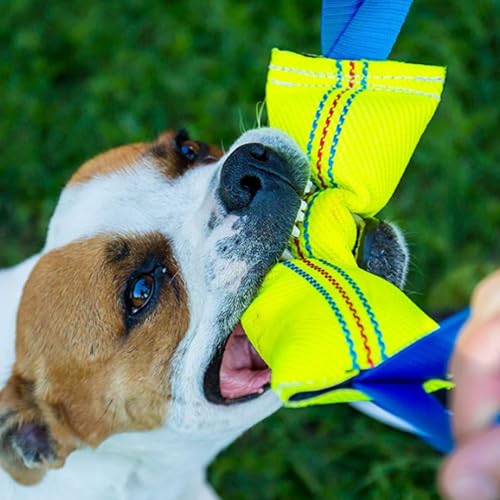 Bull Fit Beisswurst für Hunde, 30 cm, mit Zwei Schlaufen (2er-Pack) - Sehr Robustes Hundespielzeug zum Training, Tauziehen und Zerrspiele mit Hund - Aus hochwertigem Feuerwehrschlauch handgefertigt