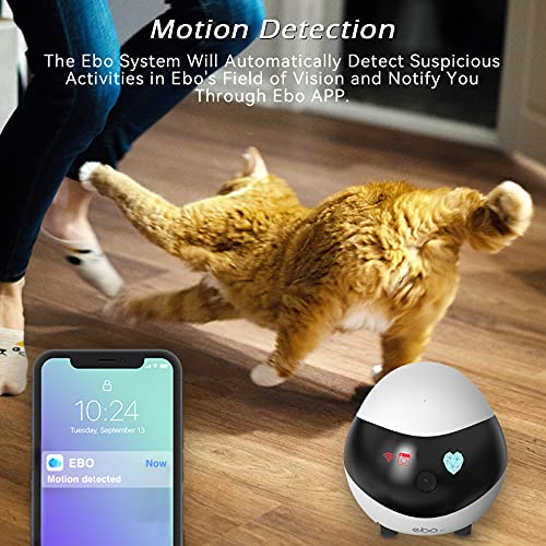 Enabot Ebo SE Movable Smart Pet Dog Camera Robot, Wireless Auto-Cruise Self-charging 1080P HD w/Night Vision 2-Way Audio… - Image 6