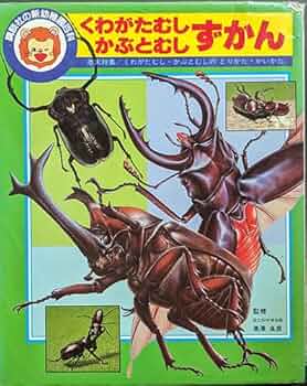 ビッグサイエンス　かがくのとも　かぶとむしとくわがたむし　くらべっこクイズ かぶとむしくわがたむしくらべっこクイズ サンチャイルドビッグ
