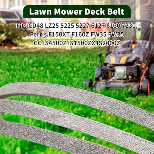 View 4