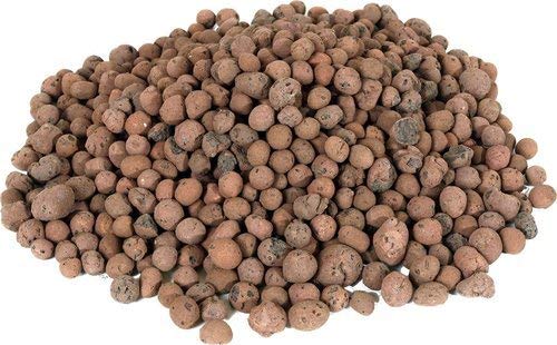 Green Paradise Expanded Clay Balls 5 Ltrs Clay Balls, Hydrotons, Lightweight Expanded Clay Aggregate (LECA) for Hydroponics, Aeroponics & Aquaponics, Size-8-15mm (B08LCC8XTV) Amazon Price History, Amazon Price Tracker