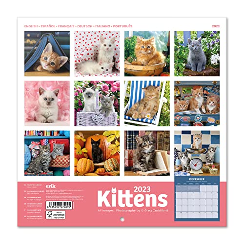 Grupo Erik Cats Simon K. and Greg C. Wall Calendar 2023 FSC 12 Month Planner Square, Wall Family Planner - Image 2