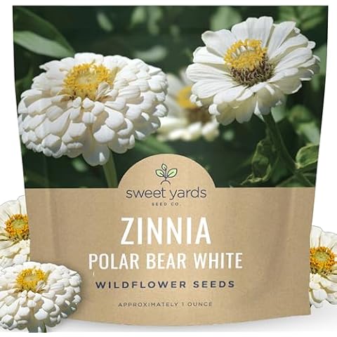 Zinnia Polar Bear White - Large 1 Ounce Packet - 4,000 Flower Seeds for Planting - Zinnia elegans Cover