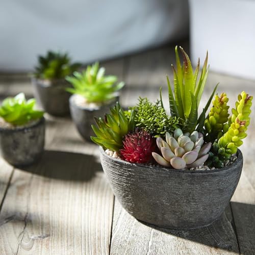 Image of Artificial Plants Set of 5 Artificial Succulents with Pots Colourful and Decorative Fake Succulents with Stones Ideal for Home Office and Outdoor Bathroom Bedroom Decore | Pack of 1