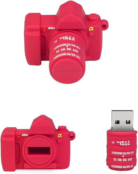 leizhan 16GB Chiavetta USB Silicone USB Flash Drive, Memory Stick impermeabile, regali per la famiglia, studenti e amici - Fotocamera Rose - 3