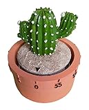GIFTME 5 Fairy Castle Cactus Kitchen Timer Cooking Timer