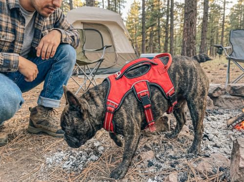 Image of Tuff Pupper Tracker No Escape Dog Harness, Dual Attachment Points, Reflective 3M Stitching, XS - XL, March Red