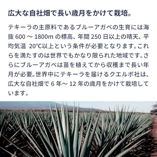 Amazon.co.jp: Cuervo（クエルボ）