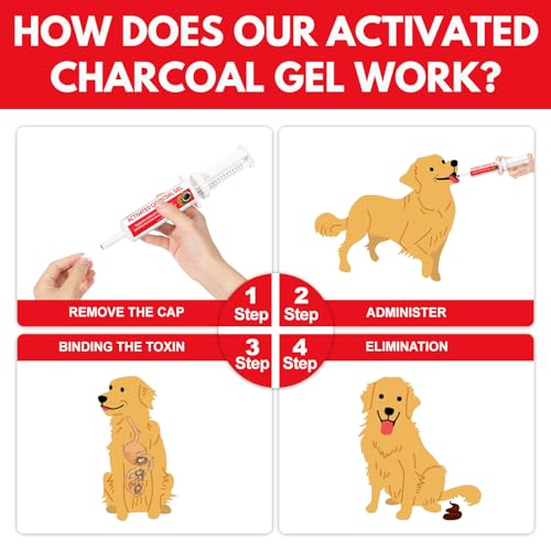 Carbón activado para perros de 60 cc para excursiones y paseos activos 6