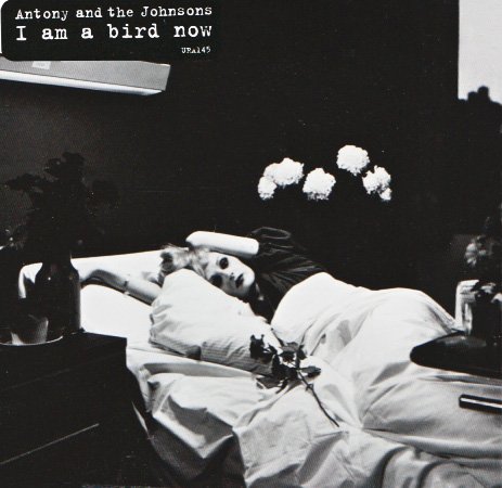 I Am a Bird Now - Amazon.com Music