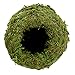 Arcadia Garden Products KO01-2 Kokedama, Japanese Moss Balls-4.0 x 3.5, Set of 2, Green, 4.0 x 3.5