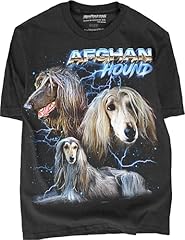 Afghan Hound