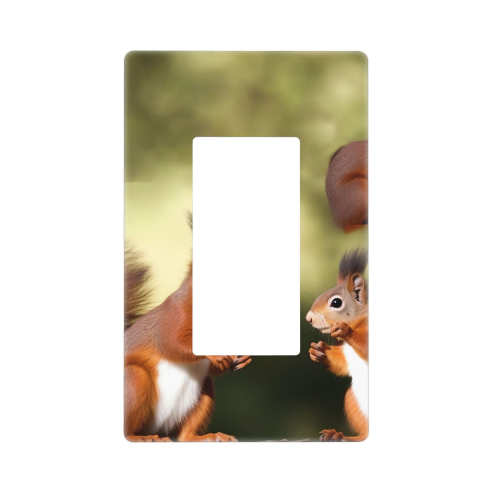 Decorator Wall Plate 1 Gang Light Switch Covers Decorator Receptacle Outlet Covers Cute Squirrels Wall Plates for Electrical Outlets Plug Cover Single Rocker Switch Plates