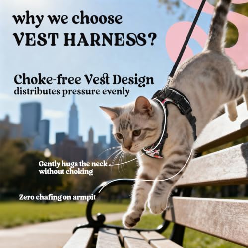 Image of rabbitgoo Cat Harness and Leash Set, Escape Proof Vest, Berry Pounce | Soft Breathable Mesh, Easy Adjustable Fit, Snap Buckles, Sturdy Clip, Reflective Strips, for Kittens & Small Cats Walks, Xxs