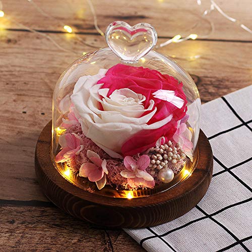 Miminuo Rose avec Une Vase,Éternelle Vraie Rose avec lumière LED dans Un dôme en Verre pour la fête de Mariage Cadeau de fête des mères Cadeau de Noël-B