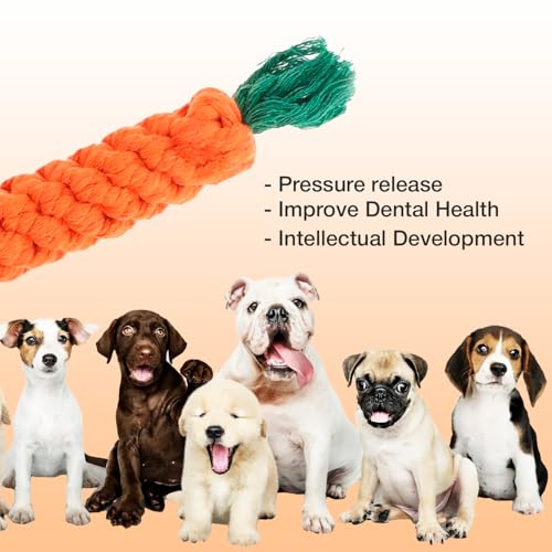 Image of Carrot Rope Toy for Dogs and Pets |Durable and Comfotable Chew Carrot Rope Toy |Puppy Teething Dog Rope Toys Cat Chew Toys Safe Braided Rabbit Toys Healthy Gift (Orange)